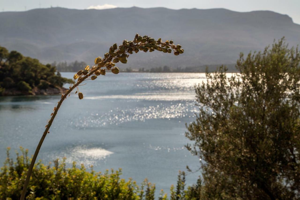 Kalavria Luxury Suites - Magnificent Sea View Of Poros Poros Town ภายนอก รูปภาพ